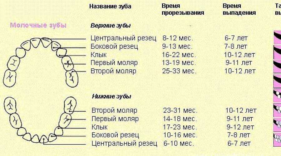 Насморк при прорезывании зубов