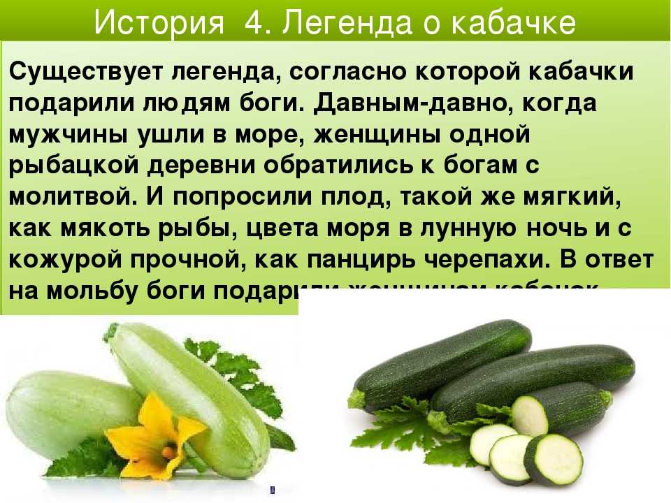 Огурец — описание, полезные и вредные свойства, состав, калорийность