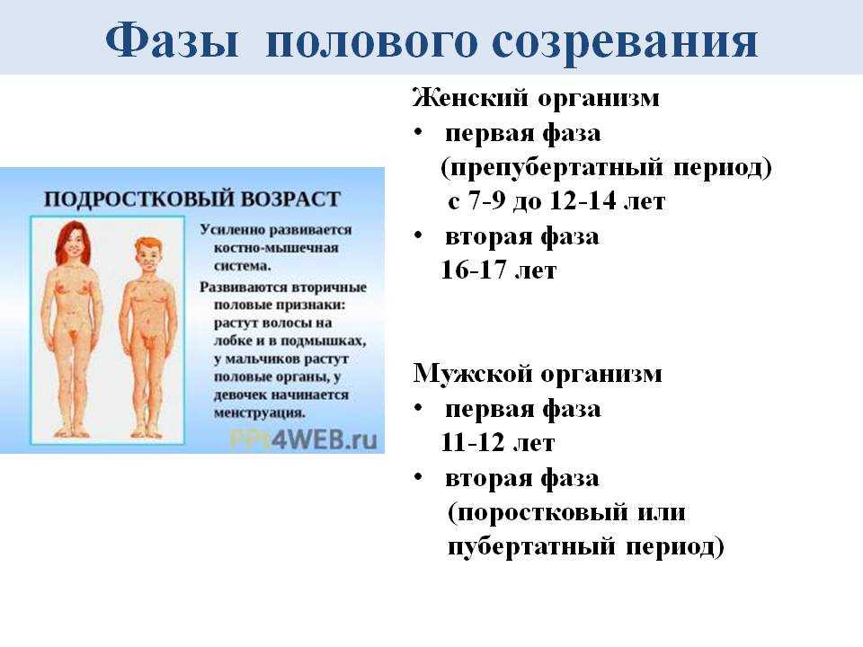 Первый раз к гинекологу? это не страшно! - белая клиника