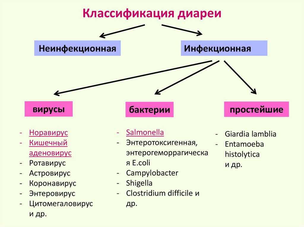 Частый понос, или хроническая диарея