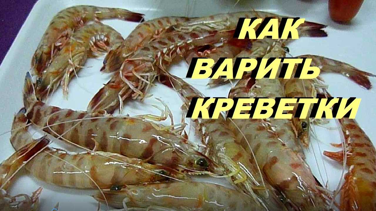 Как правильно варить креветки- правильное время варки и лучшие рецепты