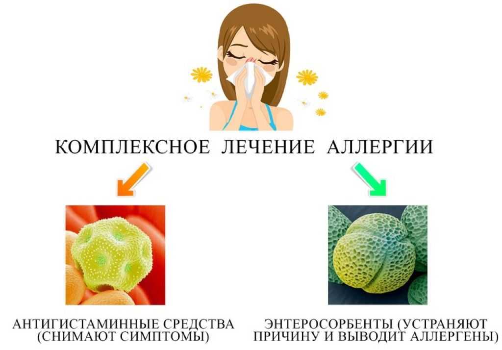 Аллергия: ликбез для аллергика. диагностика, симптомы, лечение | университетская клиника