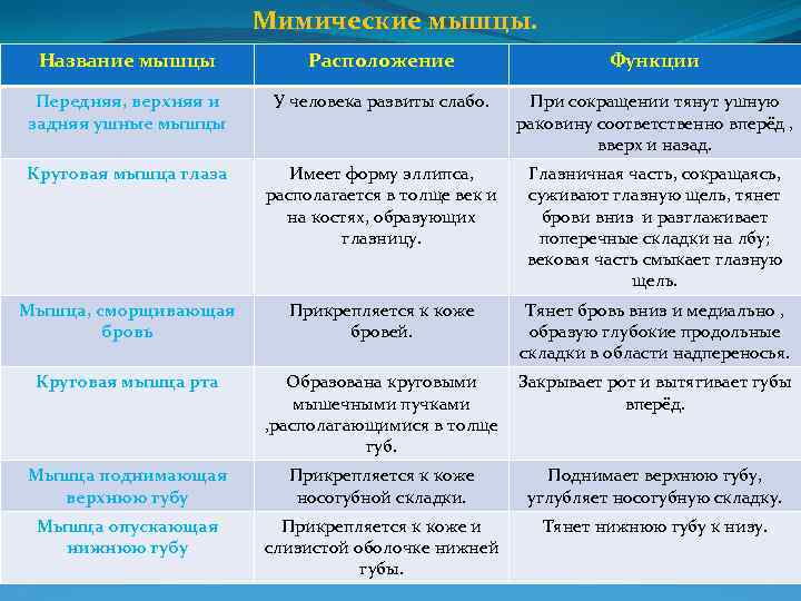Лечение в санатории костной и мышечной системы