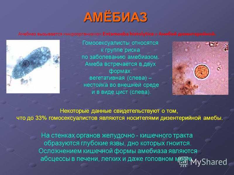 Ротовая амеба (e. gingivalis): жизненный цикл развития, заболевания
