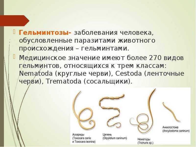 Гельминтоз (глисты у человека): причины заболевания, классификация, симптомы, диагностика и лечение, профилактика гельминтоза