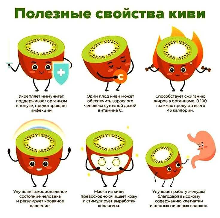 Как правильно есть киви: с кожурой или нет, нужно ли чистить, как выбрать при покупке, как хранить, фото