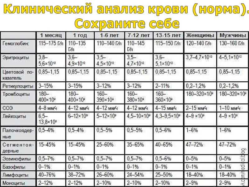 Общий анализ крови: расшифровка результатов и норма | статьи мц «диагностика»