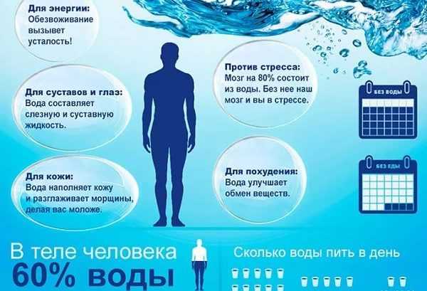 Сколько воды нужно пить в день? - fitlabs / ирина брехт