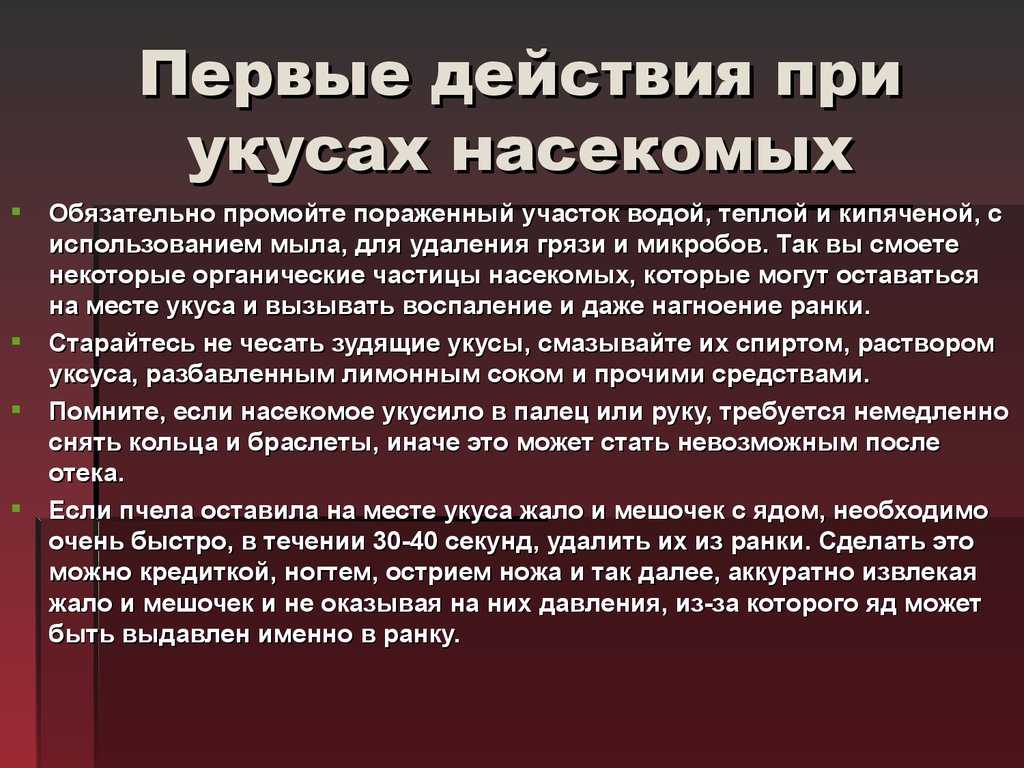 Укусы насекомых: как оказать первую помощь и когда обращаться к врачу | рязань