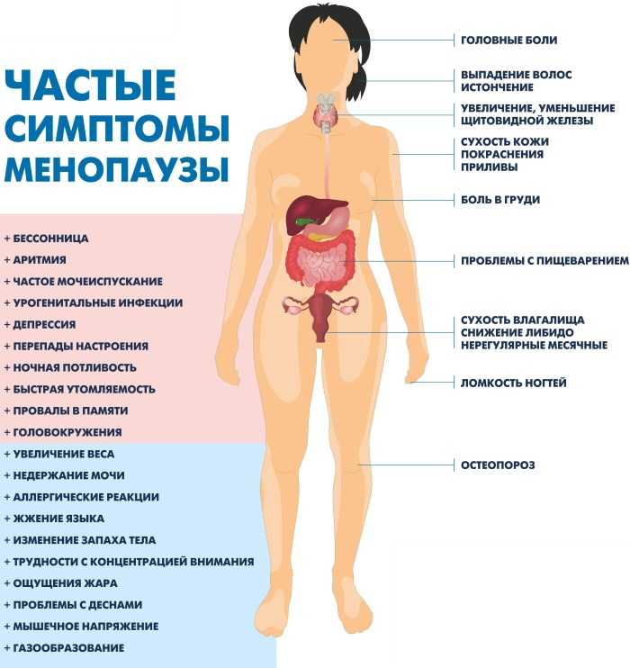 Что такое нарушение менструального цикла, какими могут быть его симптомы, причины и способы его лечения