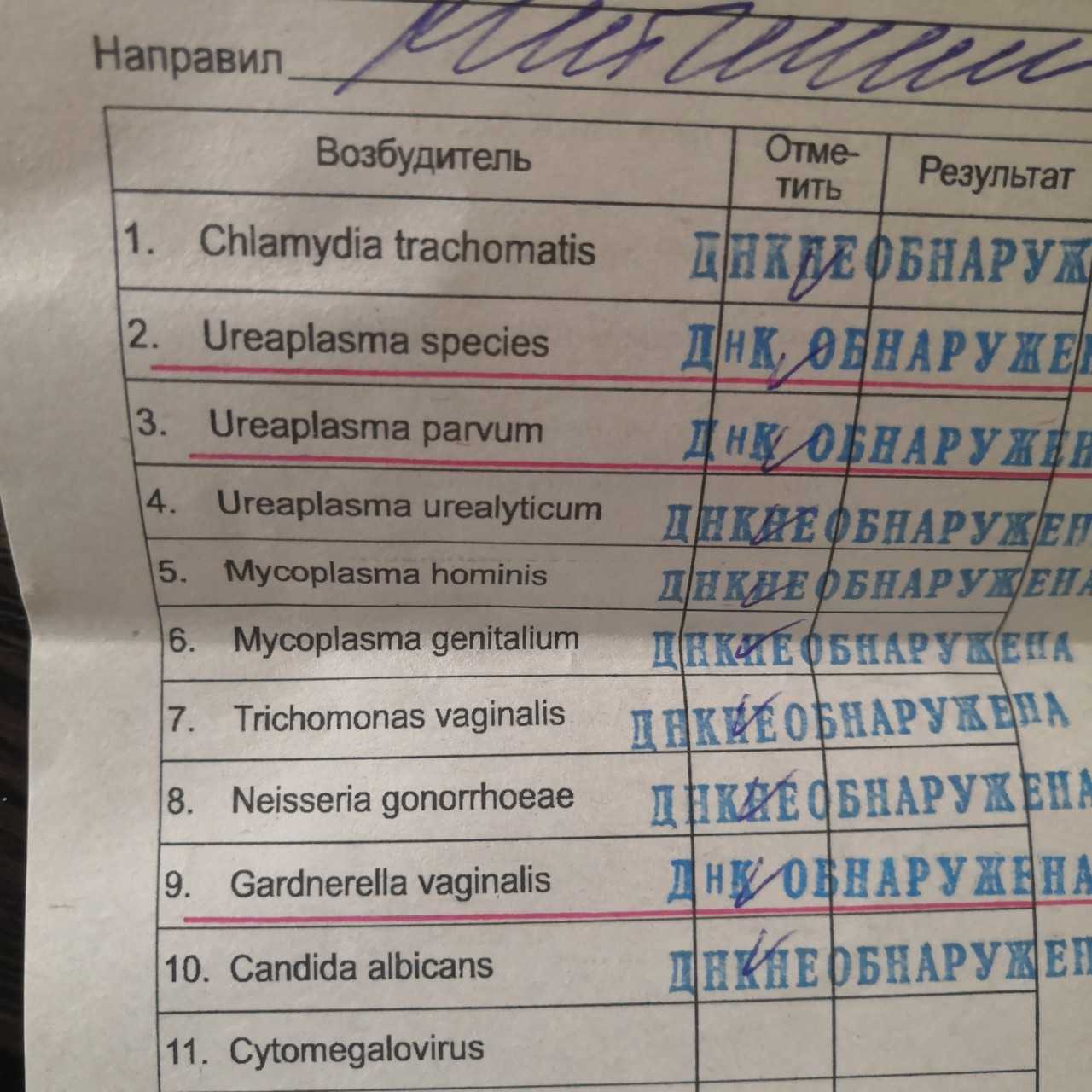 Гарднереллез: причины заболевания, диагностика, последствия и лечение