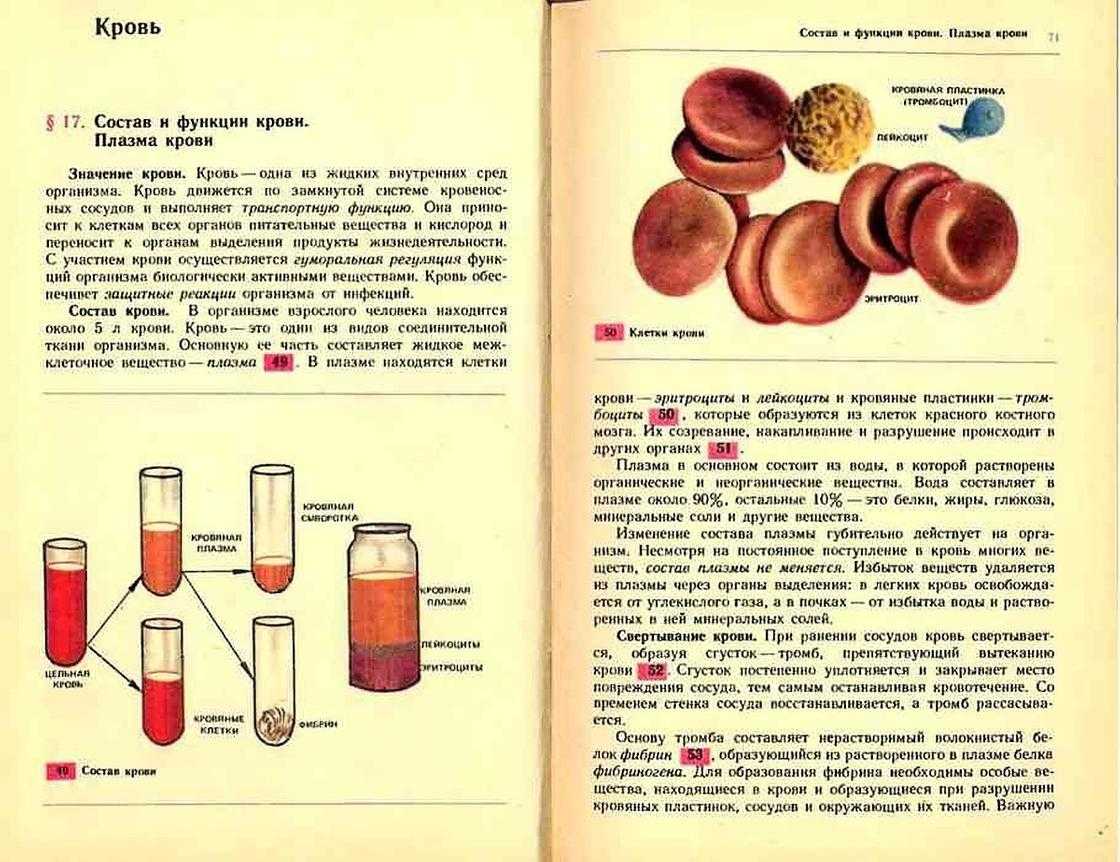 Препараты, снижающие свертываемость крови. когда используются антикоагулянты? | университетская клиника