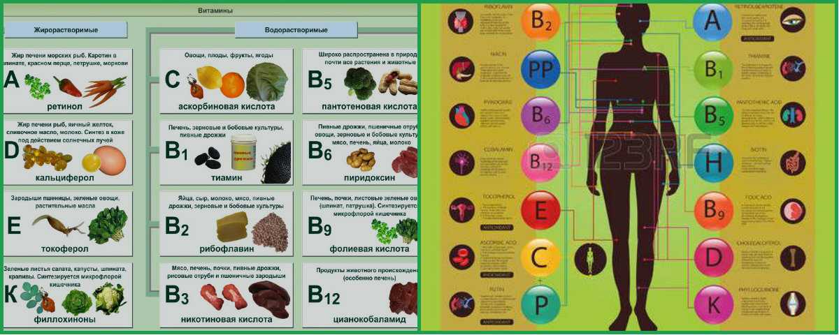 Витамины для женщин: дозировка и польза | food and health