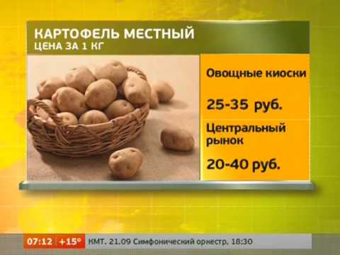1 кг картошки сколько в штуках