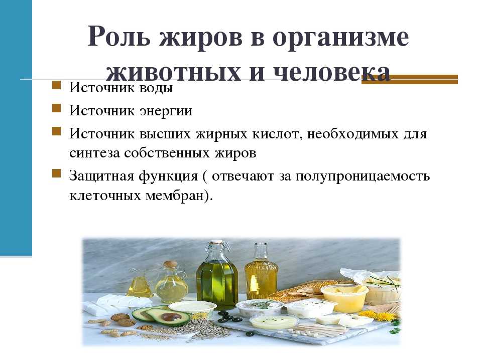 Как узнать, чего не хватает в организме? * клиника диана в санкт-петербурге