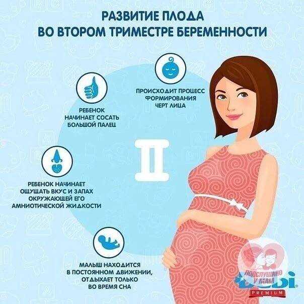 Сексуальное влечение во время беременности » профклиник- медицинский центр гинекологии на краснопресненской и баррикадной