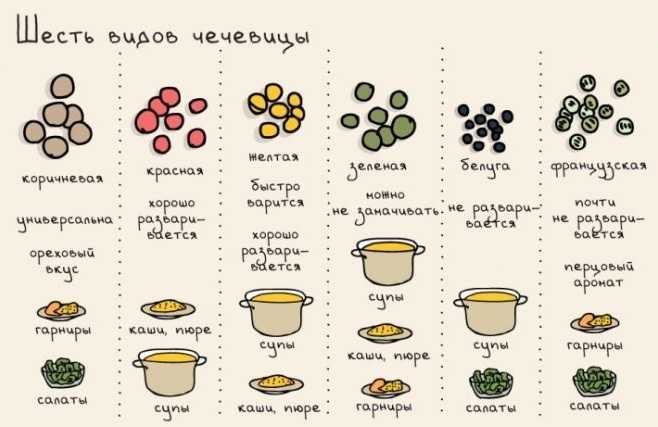 Как варить чечевицу: 4 способа приготовления и 3 примера блюд