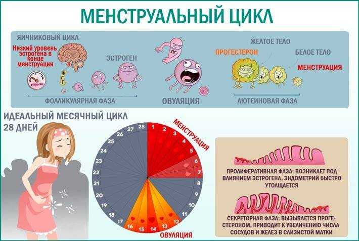 Дефлорация