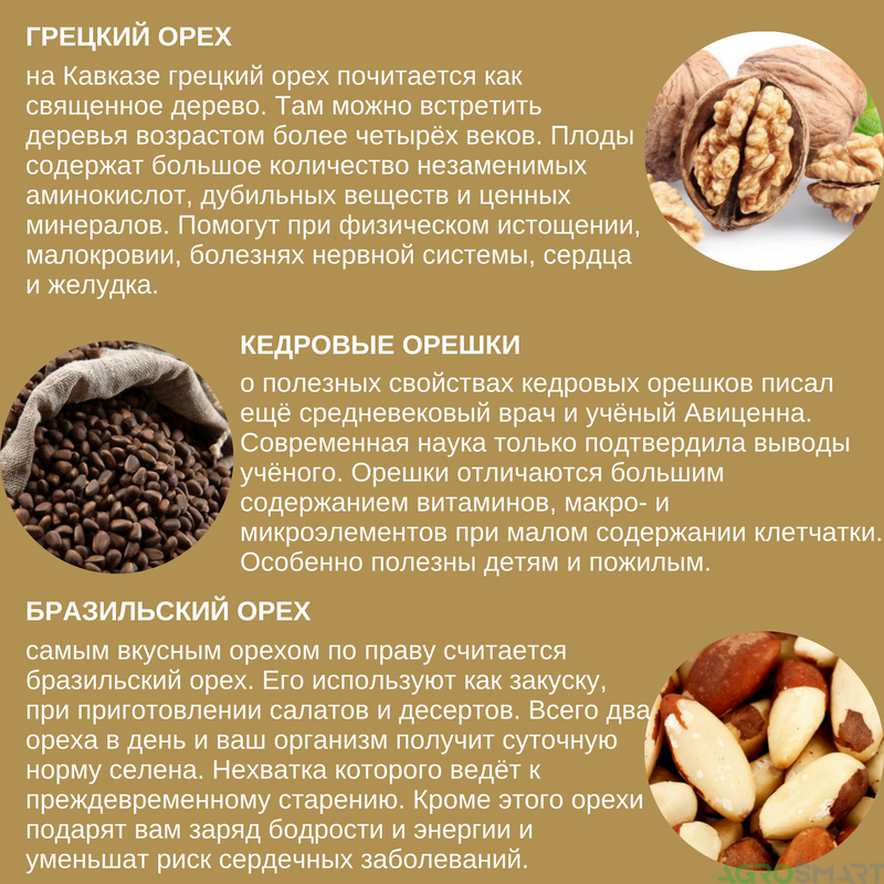 В чем польза грецких орехов