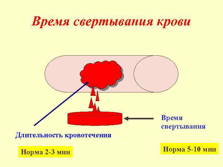 Что такое повышенный фибриноген в биохимическом анализе крови