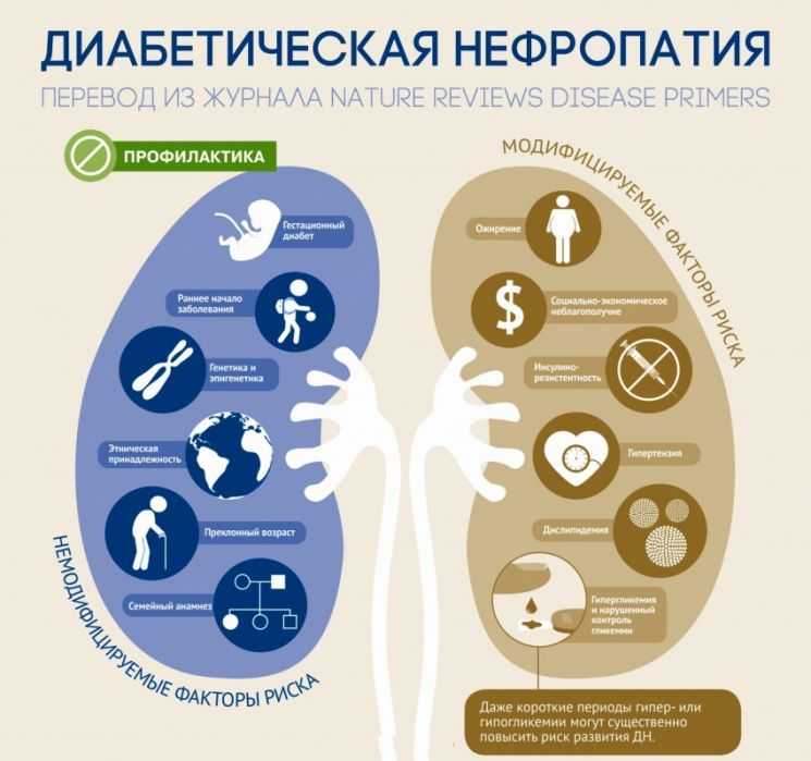 Диабетическая нефропатия: состояние проблемы в российской федерации | интернет-издание "новости медицины и фармации"