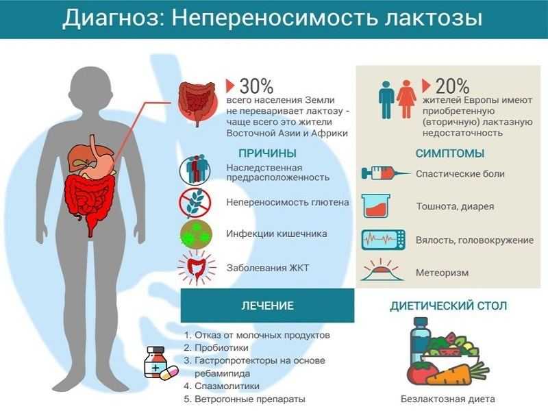 Лактазная недостаточность / блог / клиника эксперт